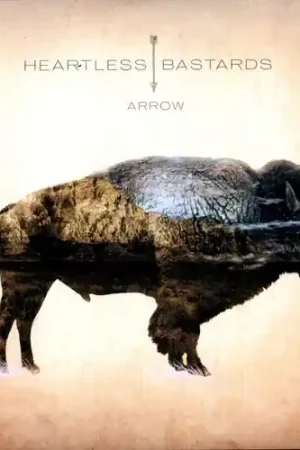Arrow Buy Today