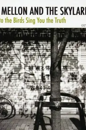 Shop Now Listen to the Birds Sing You the Truth