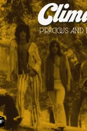 Order Now Precious And Few (Mod)