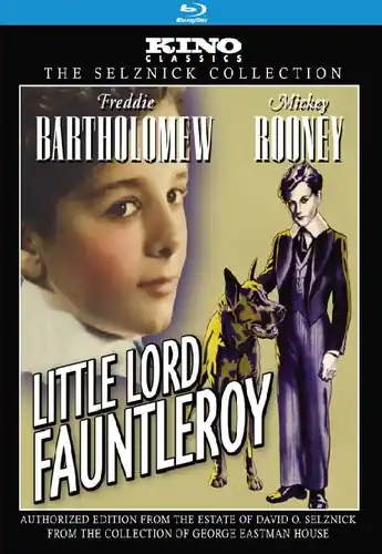 Little Lord Fauntleroy Viral
