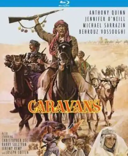 Caravans Sale