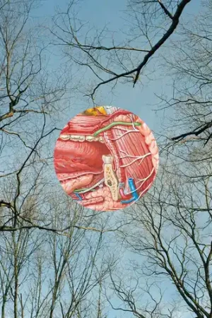 Glean [Clear Vinyl] (Red) Affordable