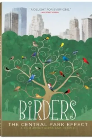 Top Rated Birders: The Central Park Effect
