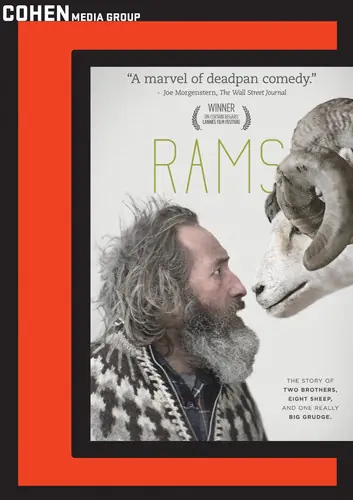Rams Big Sale