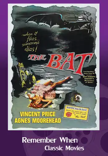 Don’t Miss Out The Bat / (Mod)