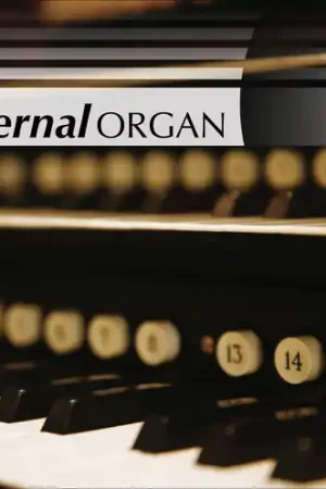 Eternal Organ / Various Bulk Order