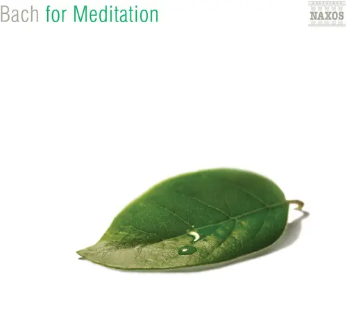 Genuine For Meditation