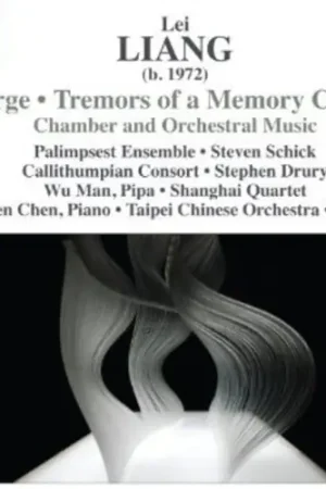 Verge / Tremors of a Memory Chord Free Shipping