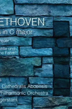 Mass in C Major Budget