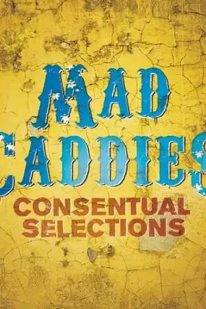 Free Delivery Consentual Selections