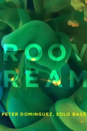 Groove Dreams Money Back Guarantee