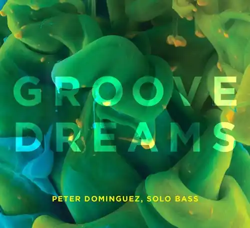 Groove Dreams Money Back Guarantee