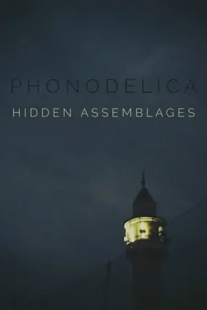 Worldwide Shipping Hidden Assemblages