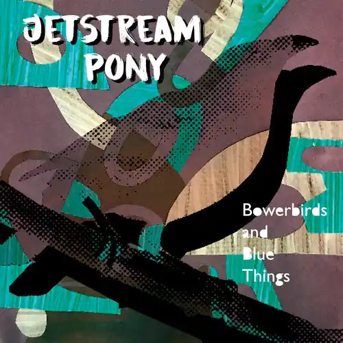 Bowerbirds And Blue Things Order Now