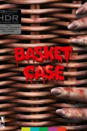 Flash Sale Basket Case