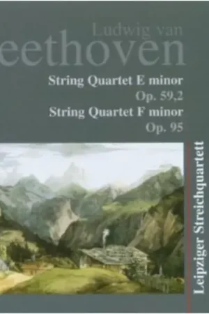 String Quartet Factory Price