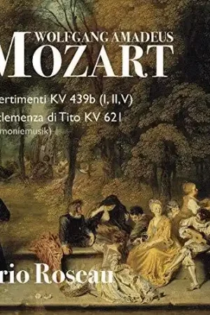 Free Shipping Mozart 1