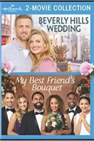 Holiday Sale Hallmark 2-Movie Collection: Beverly Hills Dvd
