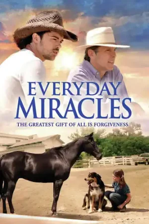 Everyday Miracles / (Mod Ac3 Dol) Buy Today
