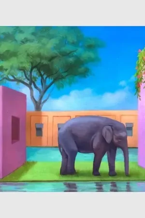 Elephant In The Room / Various Budget