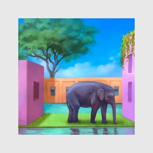 Elephant In The Room / Various Budget