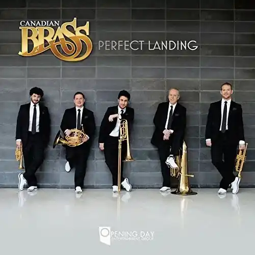 Perfect Landing Factory Price