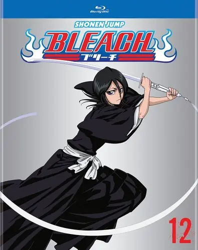 Buy Direct Bleach Set 12