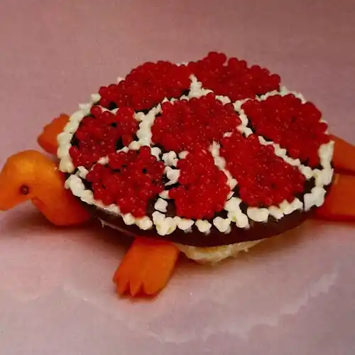 Special Discount Turtle Rock
