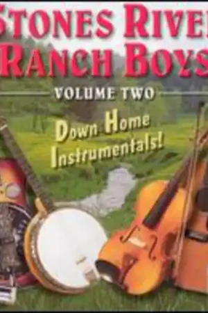 Latest Down Home Instrumentals, Vol. 2