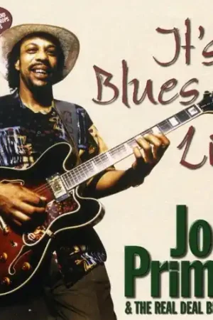 Warranty Included It's a Blues Life