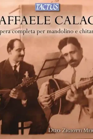 Comp Works for Mandoline & Guitar Free Returns