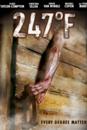 247 Degrees Fahrenheit Exclusive Offer