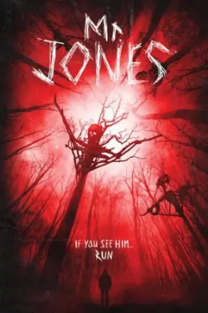 Limited Edition Mr. Jones