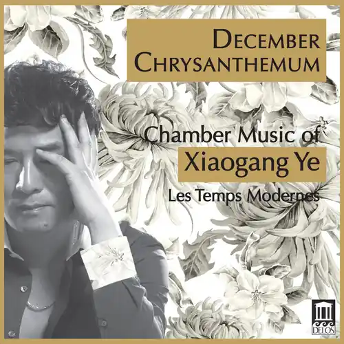 Instant Buy December Chrysanthemum