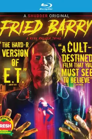 Secure Checkout Fried Barry Bd / (Sub)