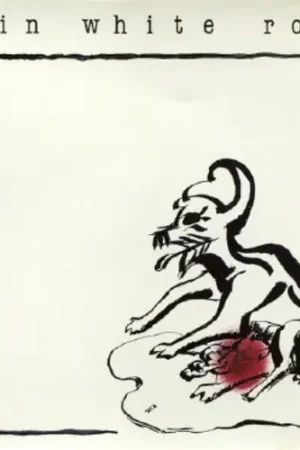 Viral Exploring The Axis