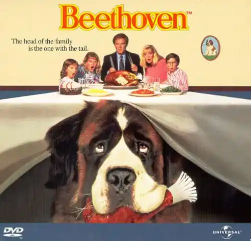 Today Only Beethoven