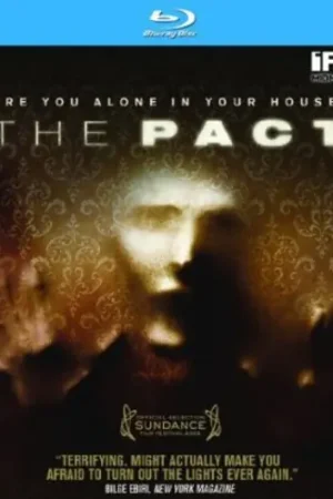 The Pact Factory Price