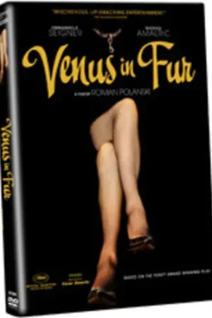 Venus in Fur Today Only