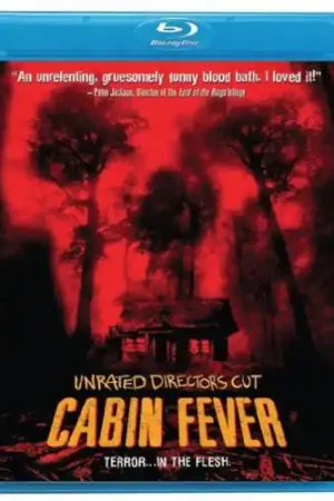 Cabin Fever Modern