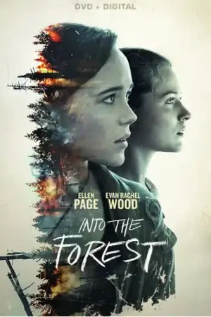 Secure Checkout Into the Forest