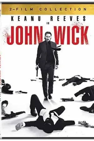 John Wick: 2-Film Collection Best Choice