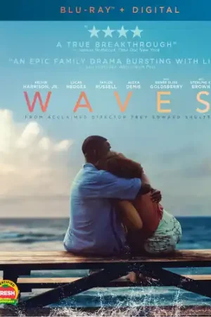 Fan Favorite Waves
