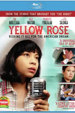 Today Only Yellow Rose