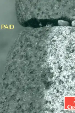 Pity Paid Handmade