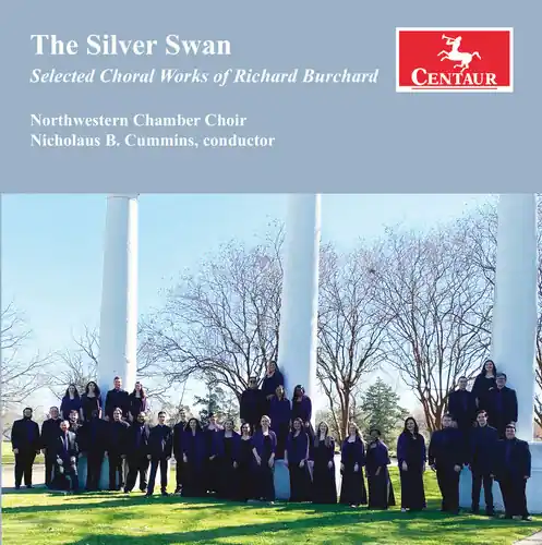Silver Swan While Supplies Last