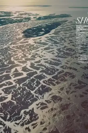 Sale Shore [180 Gram]