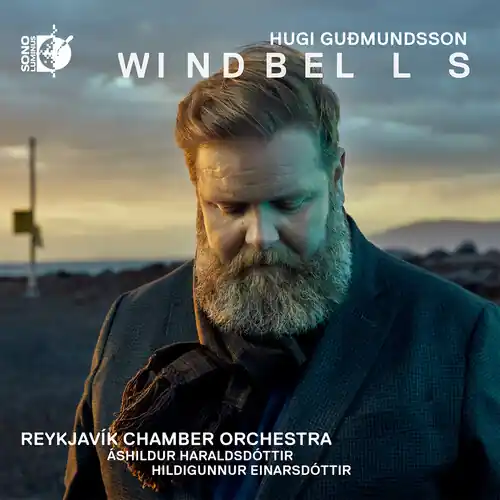 Direct From Factory Windbells