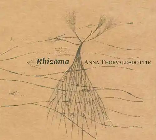 In Demand Rhizoma