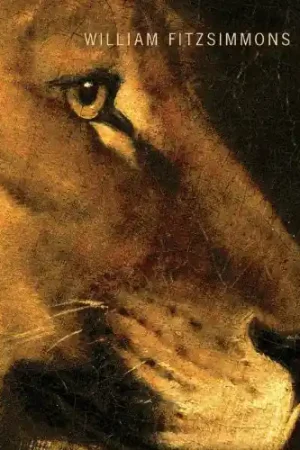 Affordable Lions [Vinyl]